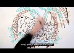 Enlace a Una muy buena razón para dejar de asistir a los circos con animales