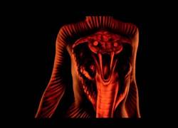 Enlace a No habías visto nunca antes un arte similar