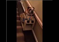 Enlace a Ya tiene una edad y en su casa le han construido ésta genialidad