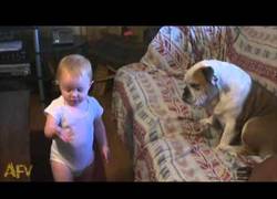 Enlace a ¡A veces tengo la sensación de que nadie me entiende en esta casa!