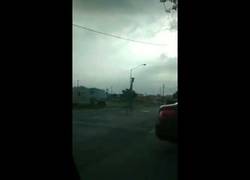 Enlace a ¡No quiero vivir más en este circo! ¡Yo me voy!