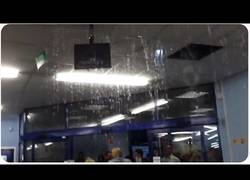 Enlace a Creo que este supermercado tiene problemas de goteras