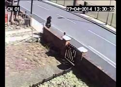 Enlace a Quiere impresionar a su novia... pero le sale mal