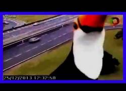 Enlace a Este tucán quiere tener su minuto de gloria