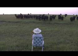 Enlace a Necesito que vengan mis vacas pero tengo cero ganas de irlas a buscar