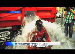 Enlace a Más famosos se unen al reto del cubo de agua fría en contra del ELA