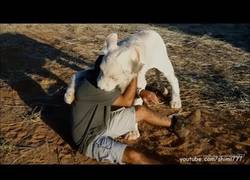 Enlace a ¿Quién dijo que los leones son peligrosos?