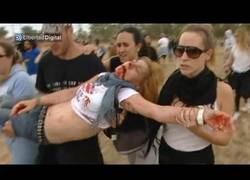 Enlace a Una activista que protestaba contra el Toro de la Vega recibió pedradas por parte de los vecinos