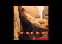 Enlace a Lo siento, no tenemos tiempo para ir al parque hoy...