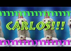 Enlace a Esto es lo que pasa si pones en youtube happy birthday y tu nombre