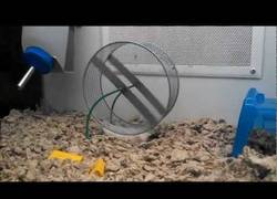 Enlace a Esto de hacer ejercicio de pie es para los motivados