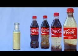 Enlace a Experimento con Coca-Cola y leche