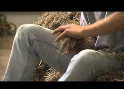 Enlace a Este chico busca una aguja en un pajar, literalmente