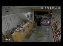 Enlace a ¡Destrozan una librería para robar los libros!