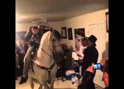 Enlace a ¿Quién no ha bailado alguna vez encima de un caballo en el salón de casa?
