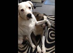 Enlace a Sht! ¡No digas nada!