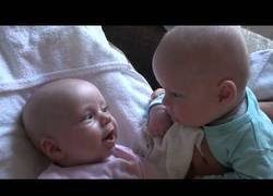 Enlace a No verás conversación más tierna que ésta