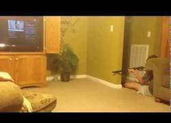 Enlace a Quiere matar a la rata que tiene en el comedor, la rata sale ganando