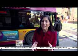 Enlace a Este perrito va solo al parque... ¡En bus!