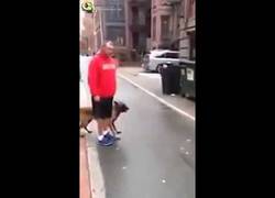 Enlace a Este perro sí que está muy bien entrenado para defenderte