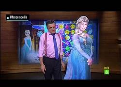 Enlace a Celia Villalobos no estaba jugando al Candy Crush, @DaniMateoAgain lo contó en El Intermedio