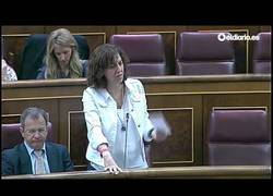 Enlace a Así (no) ha respondido Morenés en el Congreso al caso Zaida después de Salvados