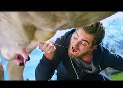 Enlace a Rhett & Link tienen nuevo vídeo ¡Aún más bizarro que los anteriores! ¿Te lo vas a comer?