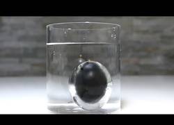 Enlace a La ilusión del huevo plateado