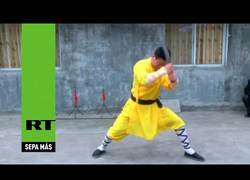 Enlace a Lo de los monjes shaolí no para de sorprender