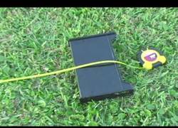 Enlace a ¿Quieres calcular la altura de algunos objetos?¡Trigonometría básica!