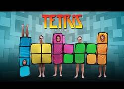 Enlace a ¡Rémi nos vuelve a sorprender!