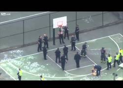 Enlace a La policía arresta a un colgado, literalmente