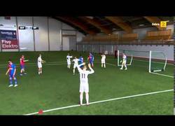 Enlace a Intentan jugar a fútbol desde la perspectiva de pájaro