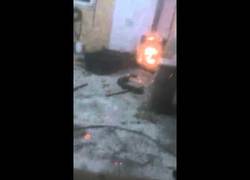 Enlace a Nunca enciendas la estufa si no tienes ni idea de cómo hacerlo