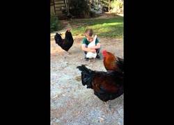 Enlace a Después de volver de la peluquería la gallina debe estar segura de que es su amigo