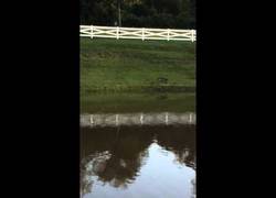 Enlace a La madre le dijo que tenía que pasar más tiempo con su hija... Acabó así