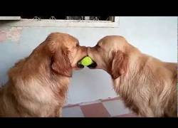 Enlace a No me marginéis, yo también quiero jugar