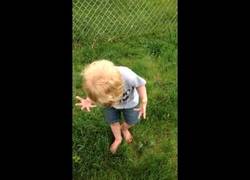 Enlace a Así reaccionaríamos todos si nos pasase lo mismo