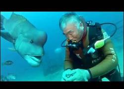 Enlace a Este submarinista asiático le da un besito a su nuevo amigo