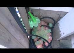 Enlace a ¿Cansado de rellenar los globos de agua de uno en uno? ¡Necesitas uno de estos!
