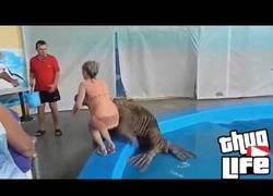 Enlace a Mejor compilación de Thug Life 2015