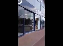 Enlace a Yo quería bañarme en una piscina, ellos tenían una así que...