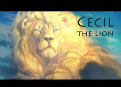 Enlace a Para Cecil, el león asesinado
