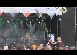 Enlace a El palo selfie más ecológico