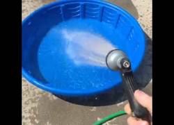 Enlace a Este perro no puede esperar a que la piscina esté lista