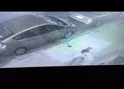 Enlace a Dos borrachos se pelean y protagonizan un final que no te esperas