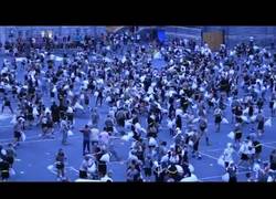 Enlace a Esta pelea de almohadas no es cosa de niños