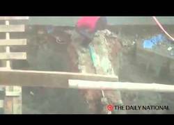 Enlace a Obrero indio intenta atrapar un punto láser... y llega hasta a comérselo