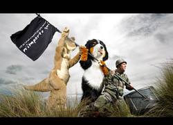 Enlace a 15 años de Rémi Gaillard haciendo de las suyas por todo el mundo con bromas