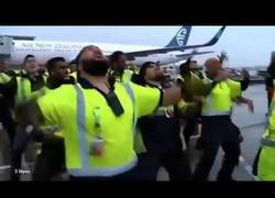 Enlace a El genial recibimiento a los All Blacks en el aeropuerto de Auckland